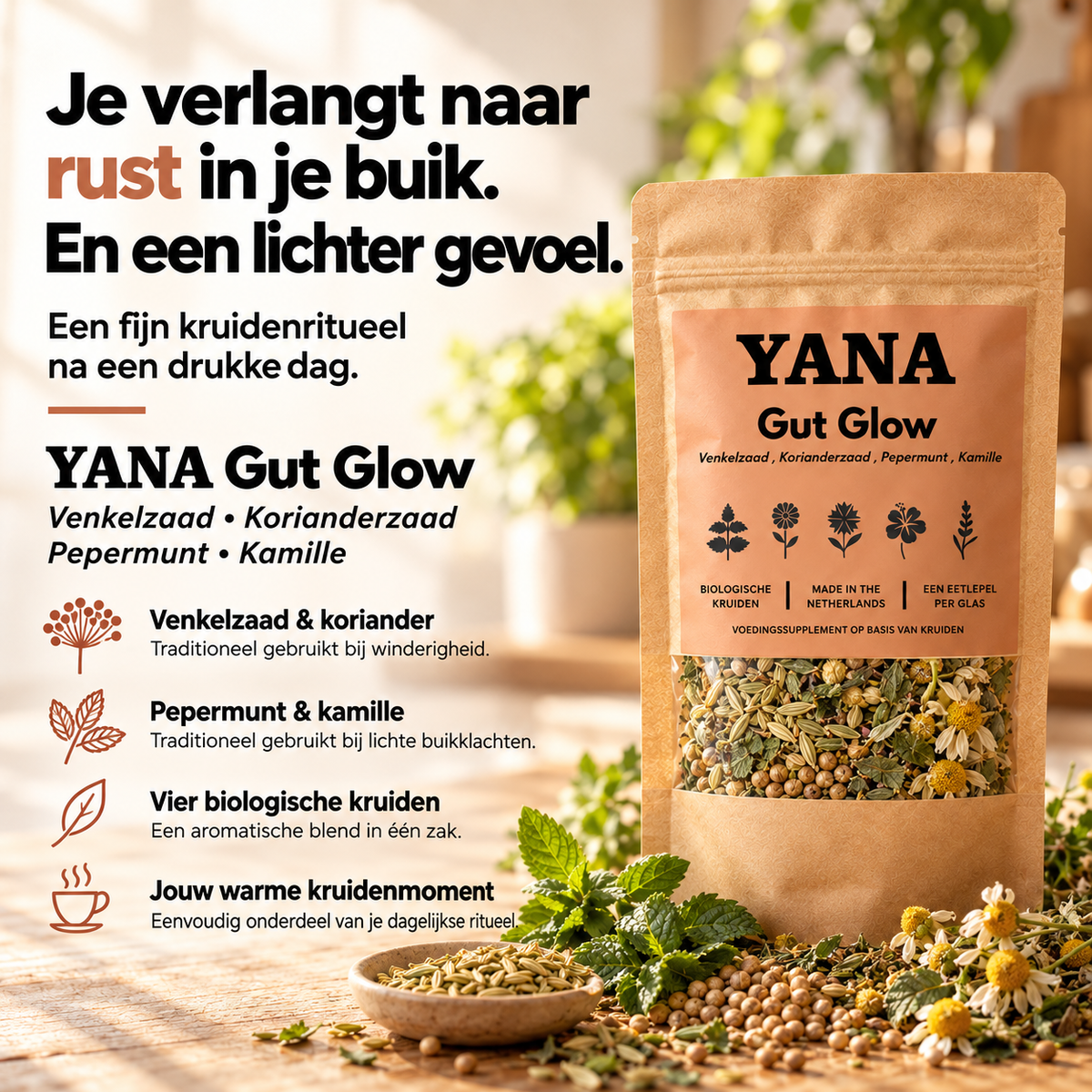 Gut Glow Blend